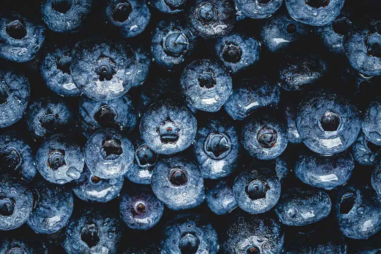 Borówki, Macro fotografia, Fotografia artystyczna, Fotograf kulinarny, Fotografia kulinarna, Podstawy fotografii kulinarnej,