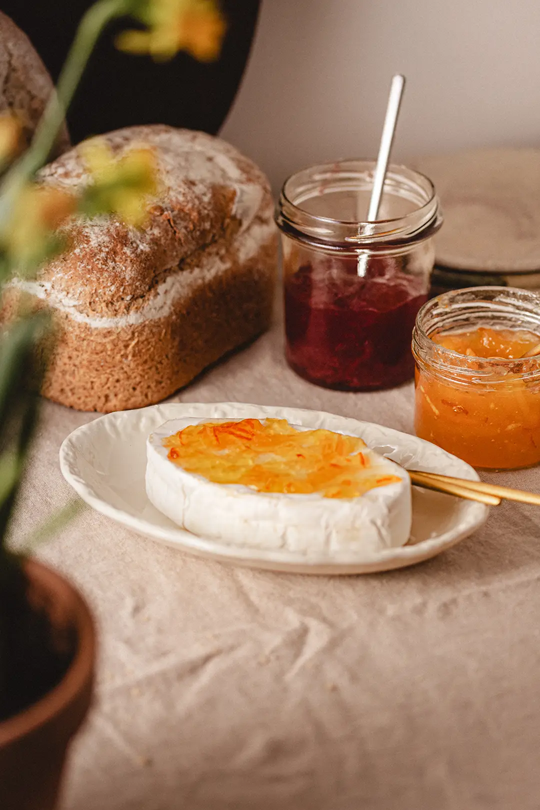 Poranek w fotografii